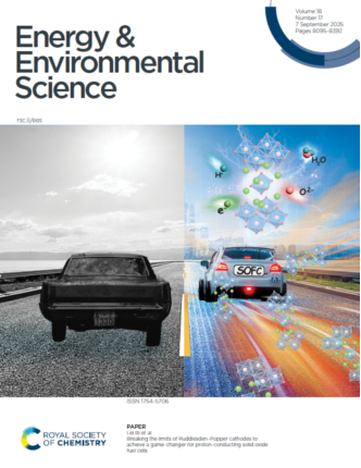 南华大学毕磊团队在Energy&Environmental Science子刊发表封面论文：通过高熵设计提升质子导体固体氧化物燃料电池阴极性能